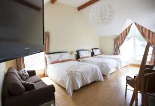 Отели типа «постель и завтрак» Wicklow Way Lodge Уиклоу Семейный номер с балконом-14